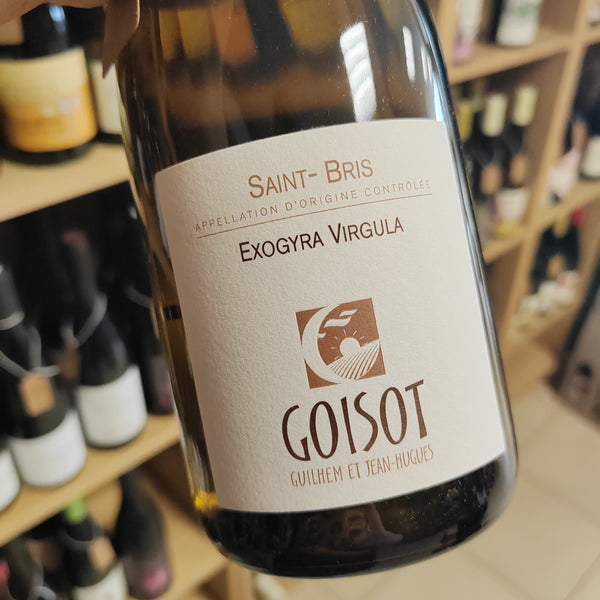 Bouteille de Saint-Bris 2020 – Domaine Goisot, AOC Saint-Bris