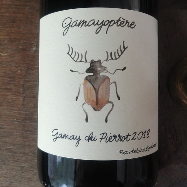 Bouteille de Gamayoptère 2018 – Antoine Lienhardt, Coteaux Bourguignons