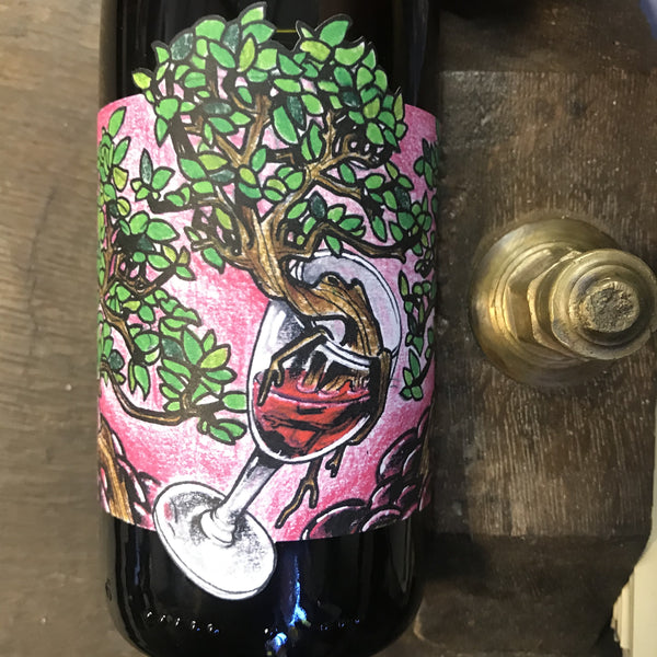 Bouteille de Symbiose 2022 – Domaine Muller-Koeberlé, AOC Alsace