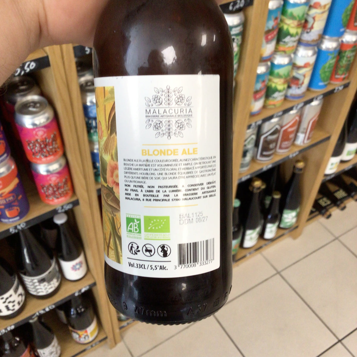Blonde Ale - Malacuria