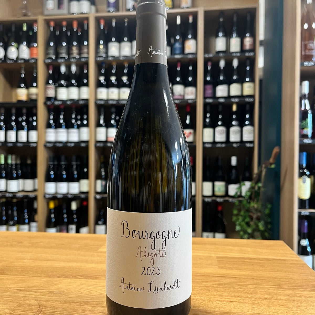 Bouteille Vin Bourgogne Aligoté 2023, AOC Bourgogne