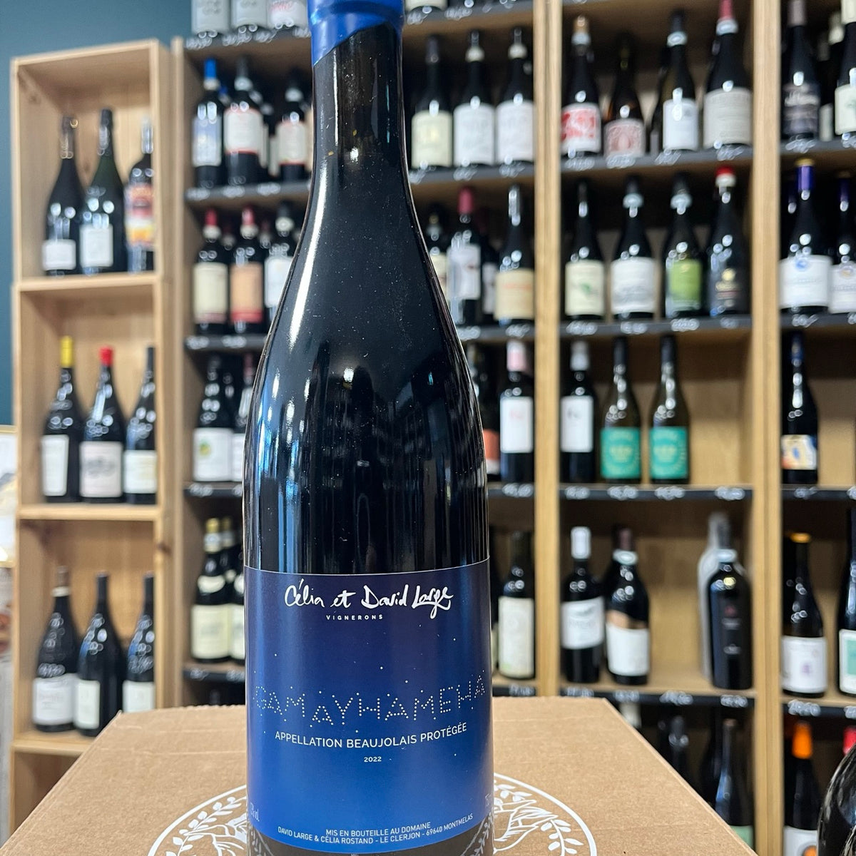 Bouteille Vin Gamayhamema Beaujolais 2022