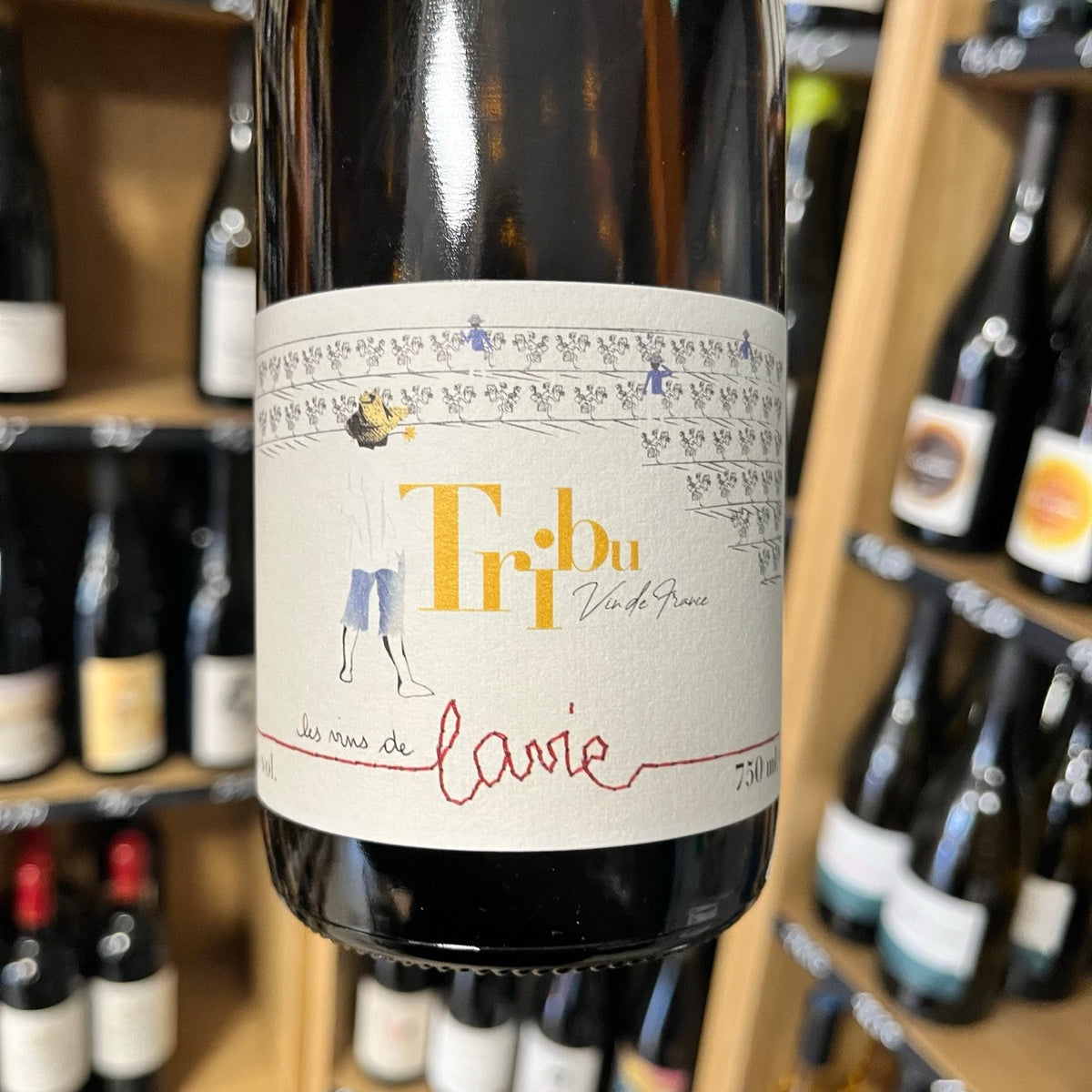 Bouteille Vin rouge Scélérata 2022, Roussillon