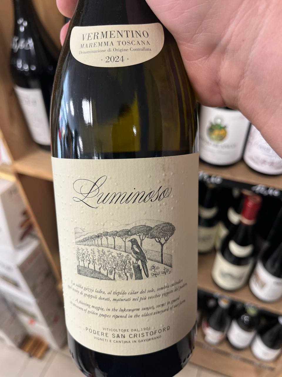 Bouteille Vin blanc Luminoso Vermentino 2024, Italie