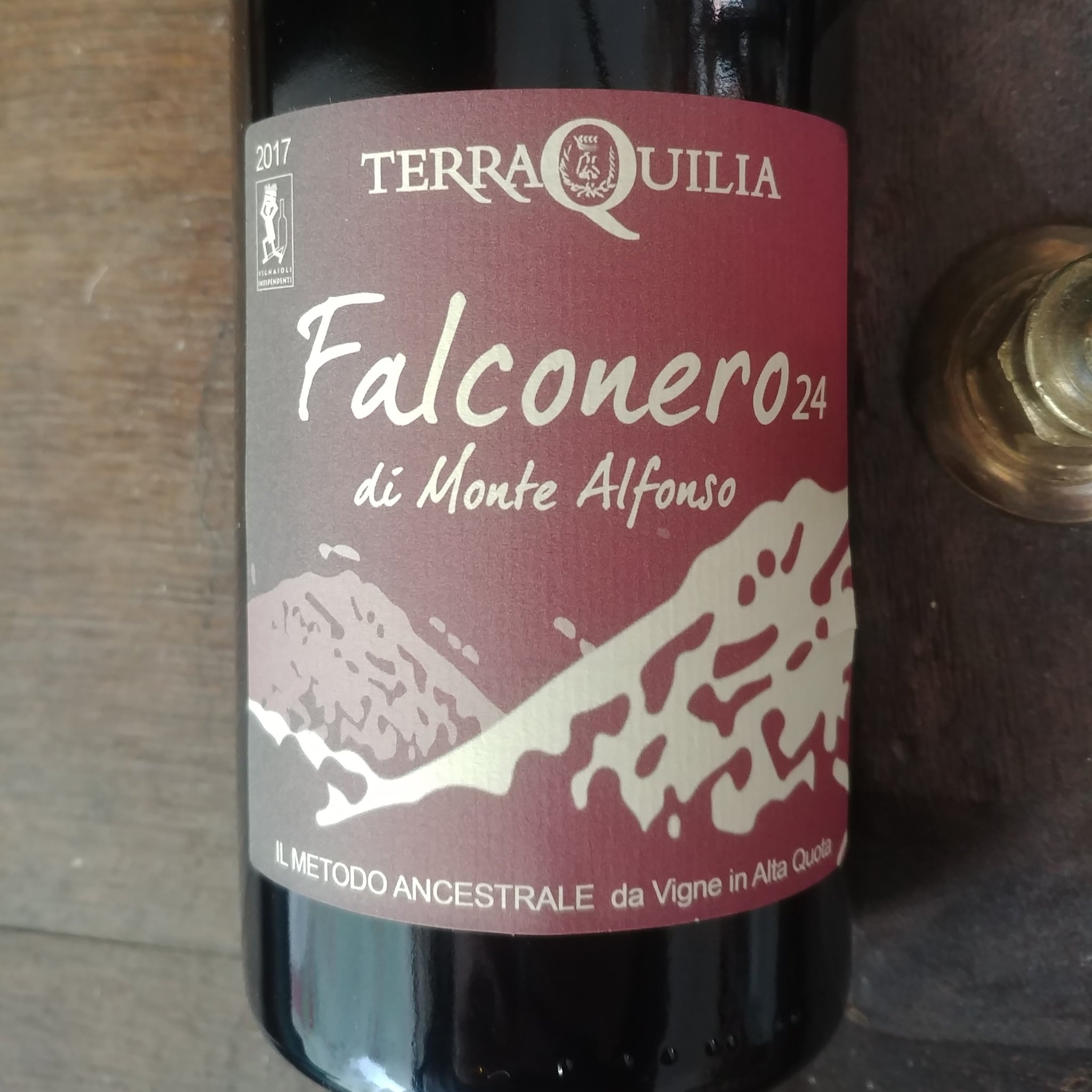 Lambrusco Falconero 24 2017 - Terraquilia - JusdelaVigne